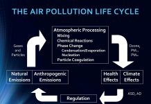 air pollution on the brain