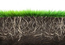 Sustainable soil management