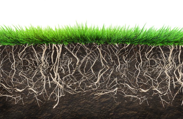Sustainable soil management