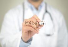 Malaria Report