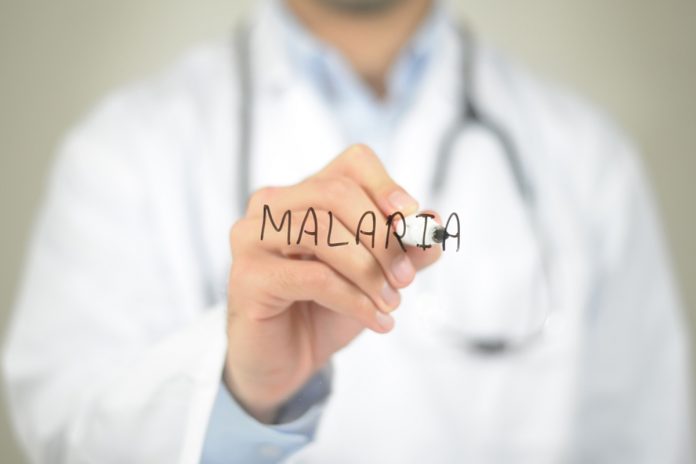 Malaria Report