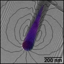 transmission ekectron microscopy