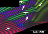 transmission ekectron microscopy