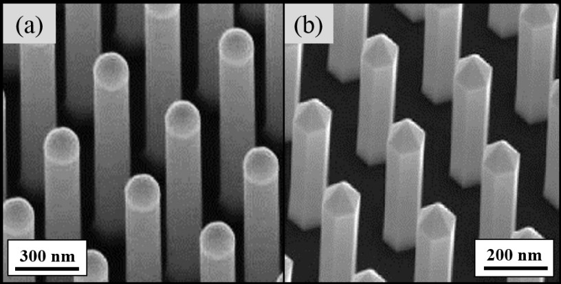 Silicon and Gallium Nitride nanowire