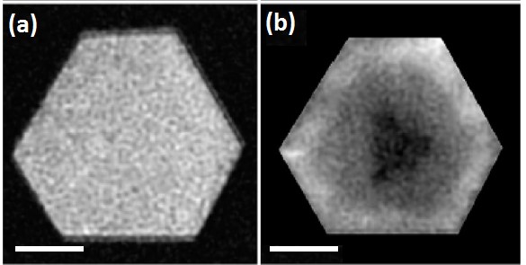 Nanowire technology