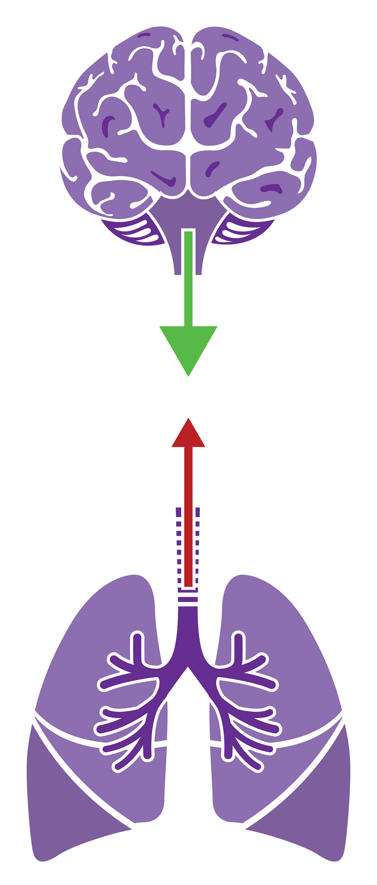 Horizon Hospitals - People who experience shortness of breath, which is  also known as dyspnea, usually describe the sensation as an intense  tightening in the chest, so-called “air hunger,” and, at its