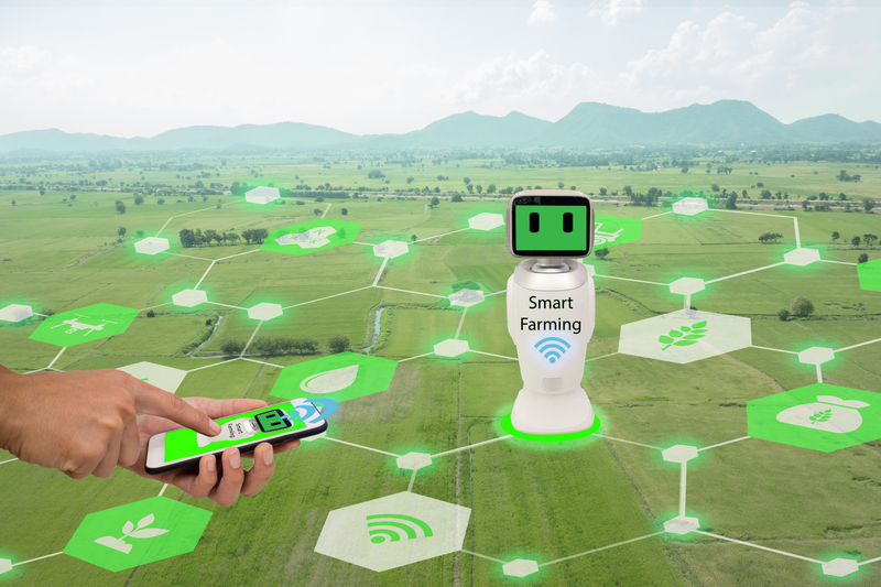  Smart Farming