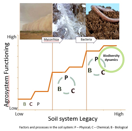 Soil System Lagacy in relation to agriculture