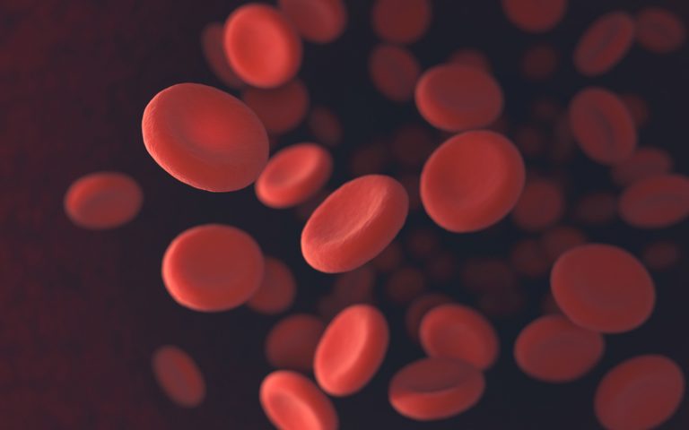 red blood cells