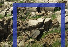 sustainable intensification of agriculture
