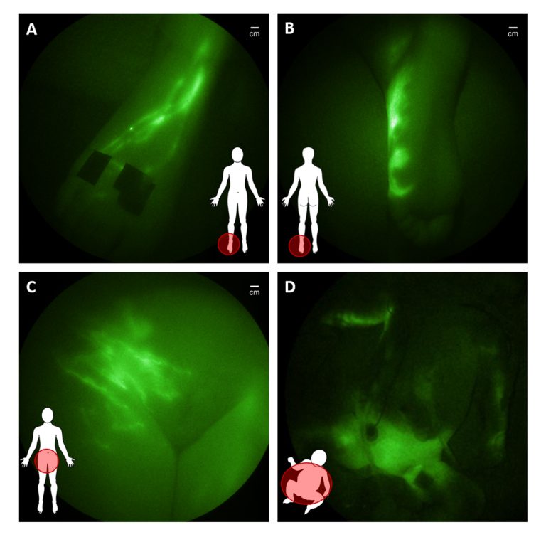 paediatric imaging