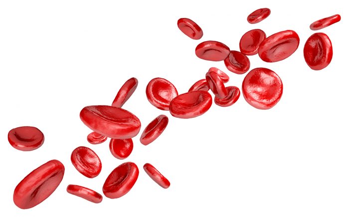 Erythropoiesis