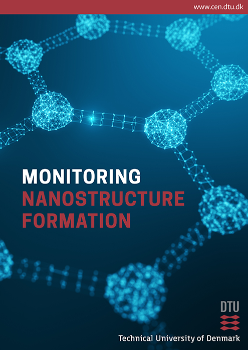 Monitoring Nanostructure Formation