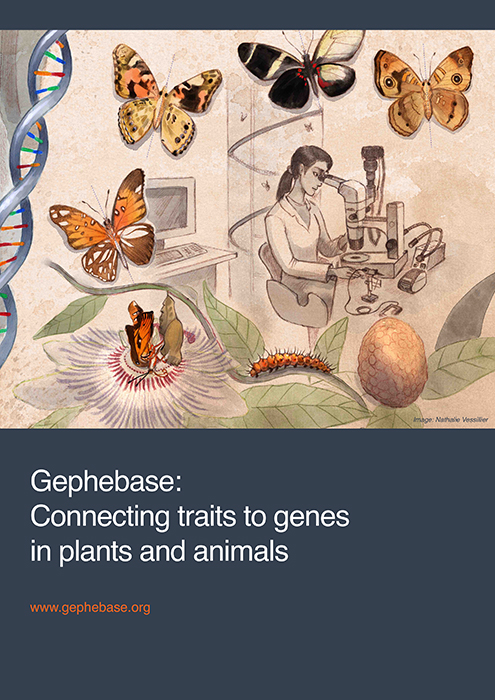 Gephebase: Connecting traits to genes in plants and animals