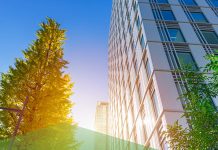 Greening the inner city