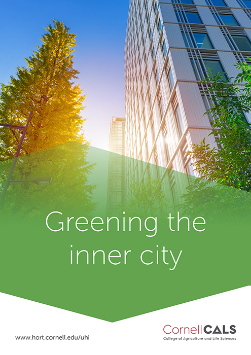 Greening the inner city