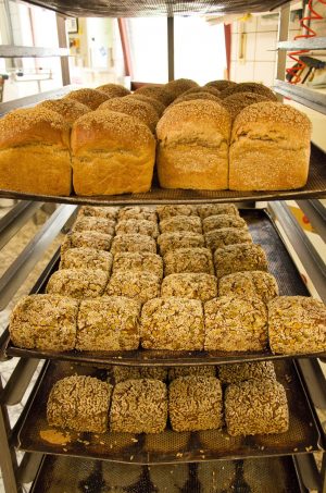 Delicious bread using minor cereals offered by the Stolzenberger’s Bakery in Germany: spelt bread, 4 Urkorn bread Emmer-Einkorn-Spelt-Rye, Spelt-barley bread with pumpkin and sesame seeds, Whole grain spelt bread with sunflower seeds