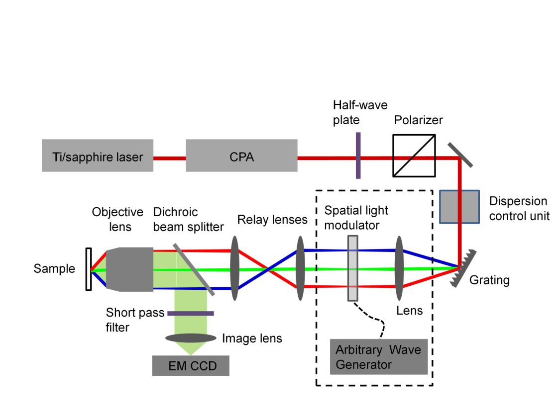  optical microscopy