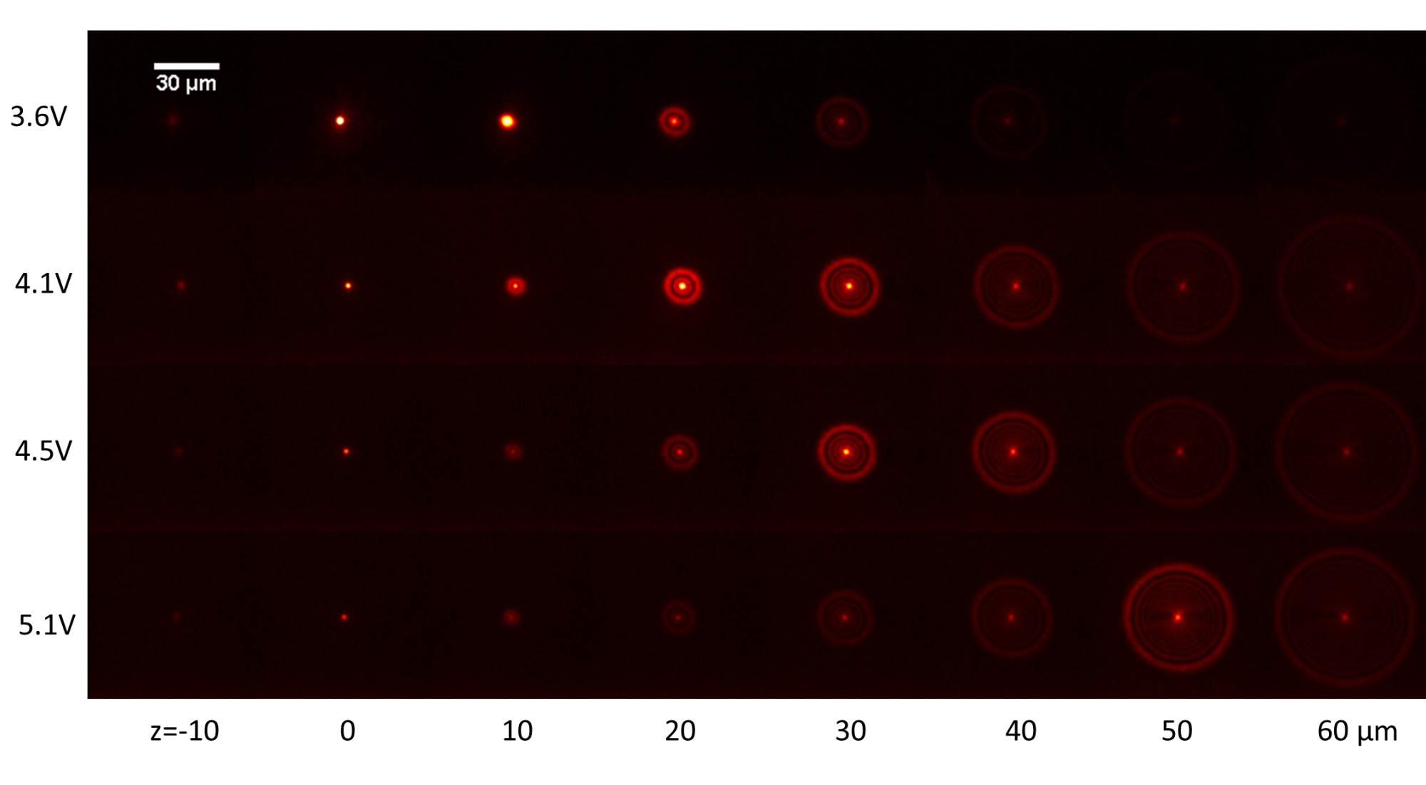  optical microscopy