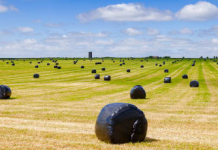 storing silage