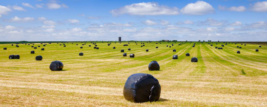 storing silage