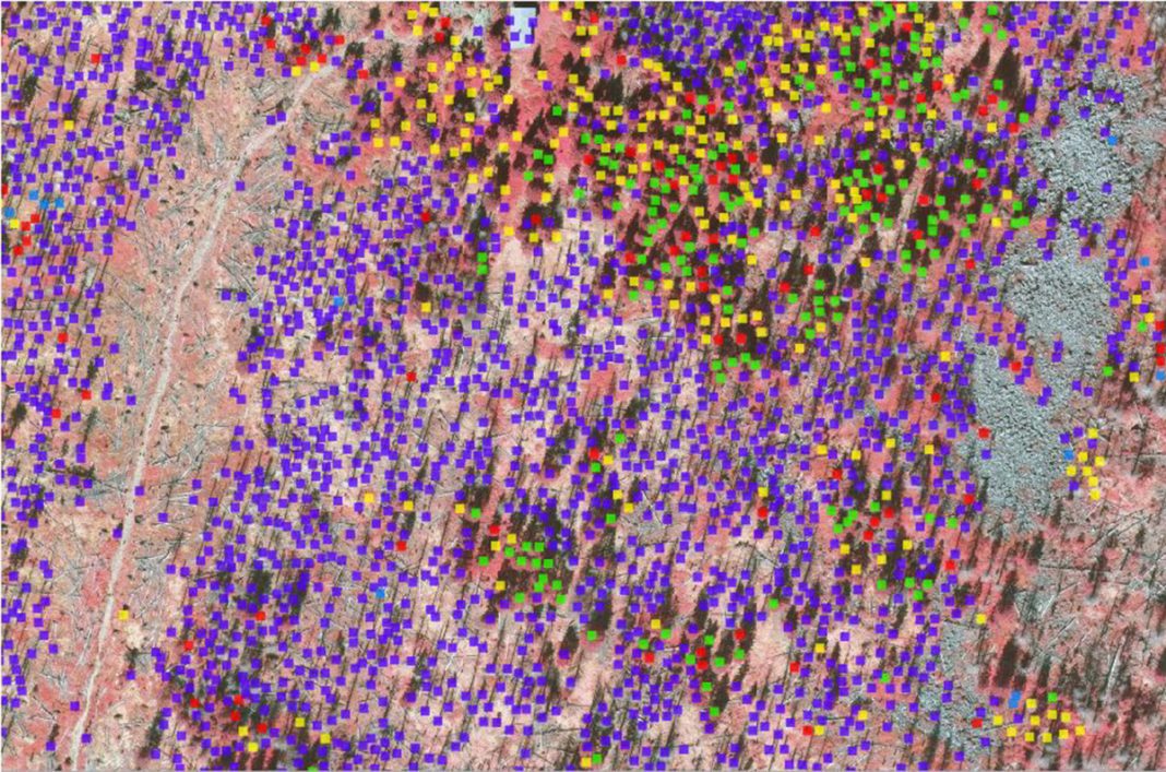 Large scale 3d mapping of forests
