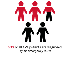 Acute myeloid leukaemia