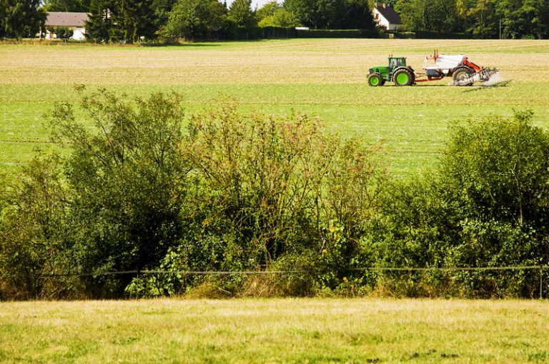 farming scheme