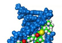 heterocyclic chemistry