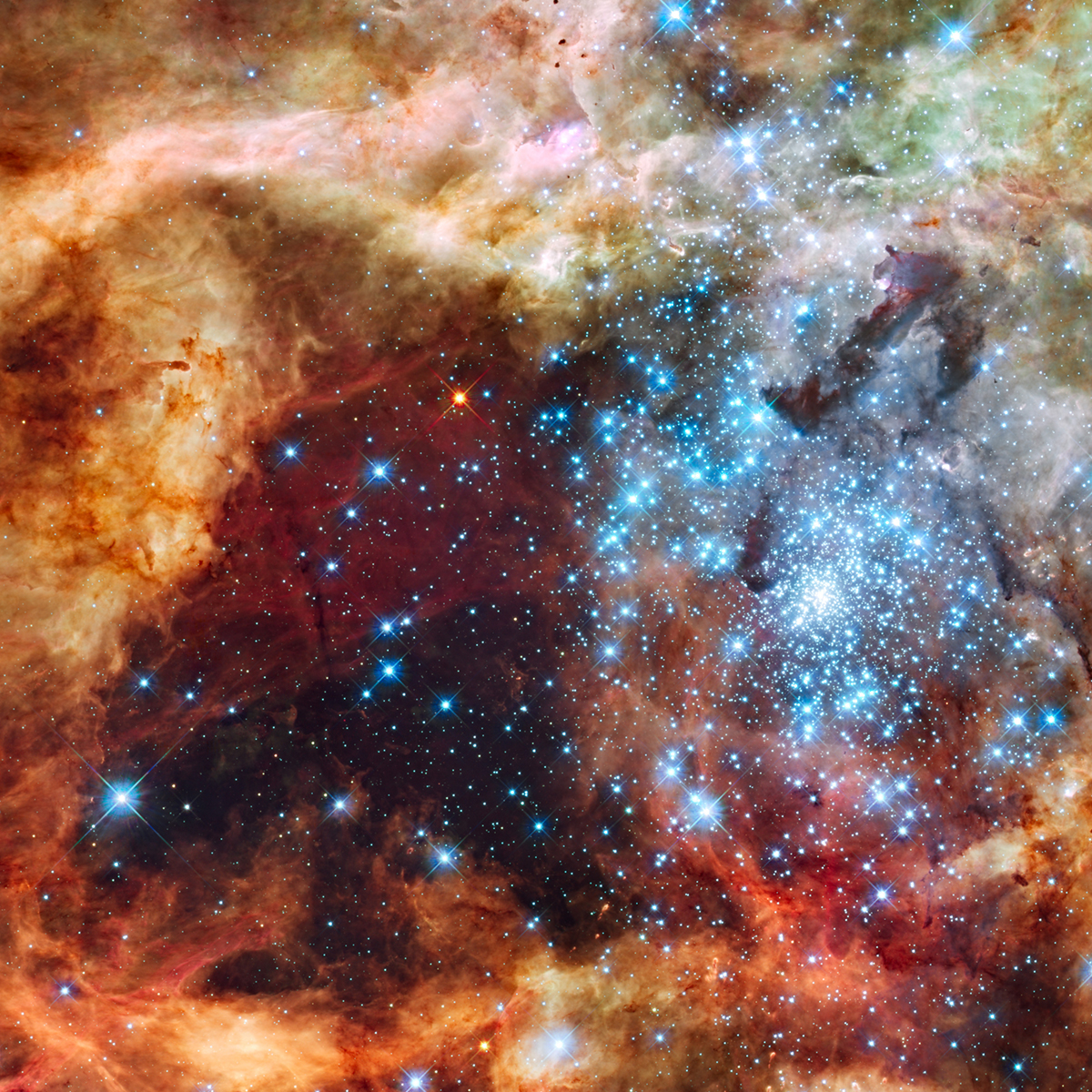 stellar clusters