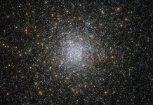 stellar clusters
