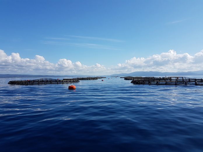 Mediterranean aquaculture