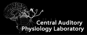 Search Central Auditory Physiology Laboratory