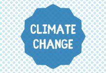 tackle climate change