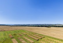 agricultural research