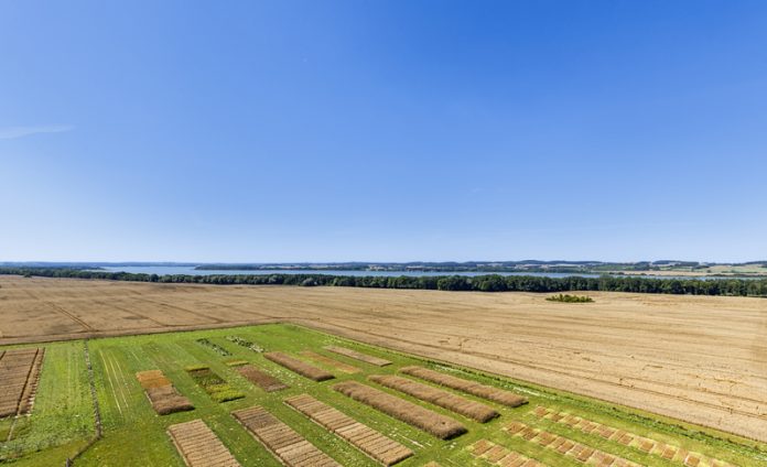 agricultural research