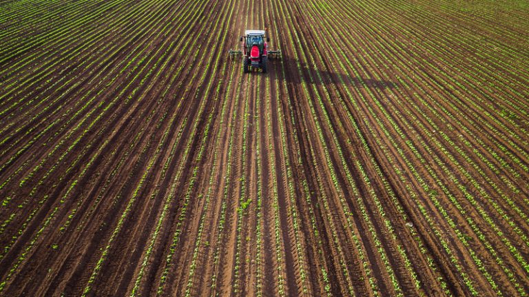 farmers