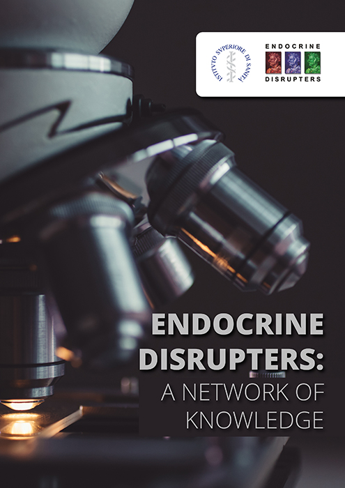 Endocrine Disrupters: A network of knowledge