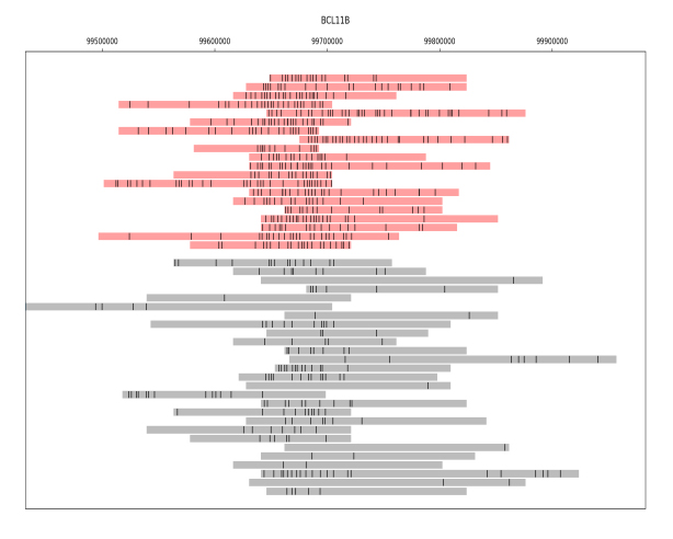 genome / gene expression