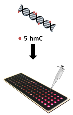 genome / gene expression