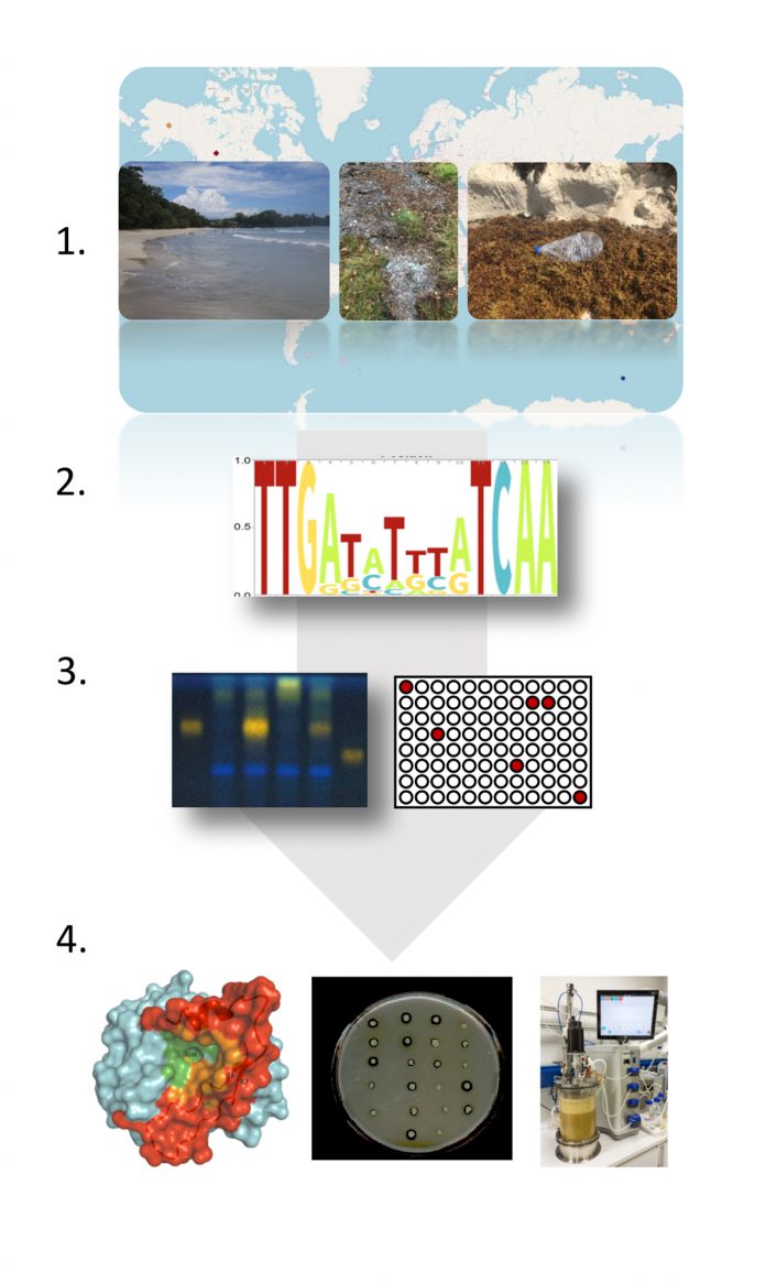 functional metagenomics