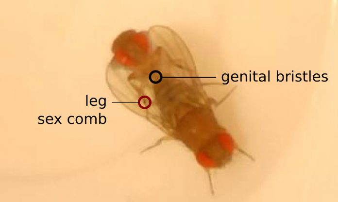 biological traits, species