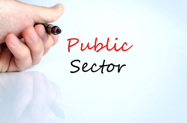 public sector services