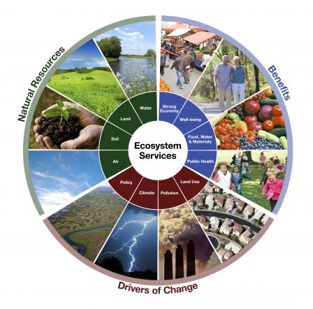 Figure 1 - Biodiversity Ecowheel