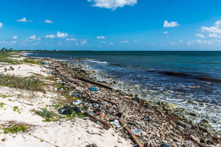 marine litter