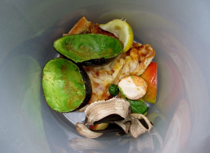 combat food waste