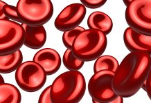 red blood cells, university of zurich