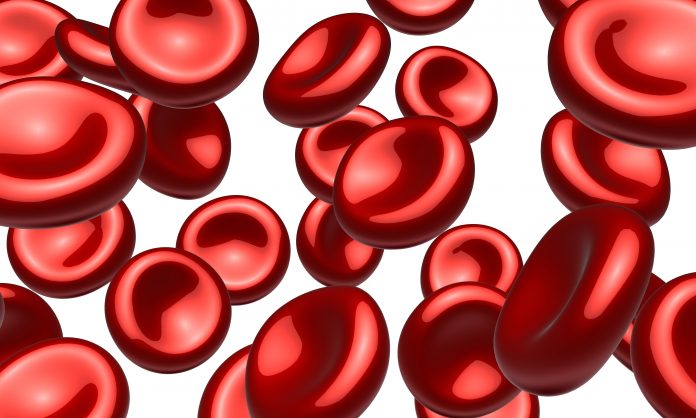 red blood cells, university of zurich