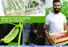 excess heat, food production