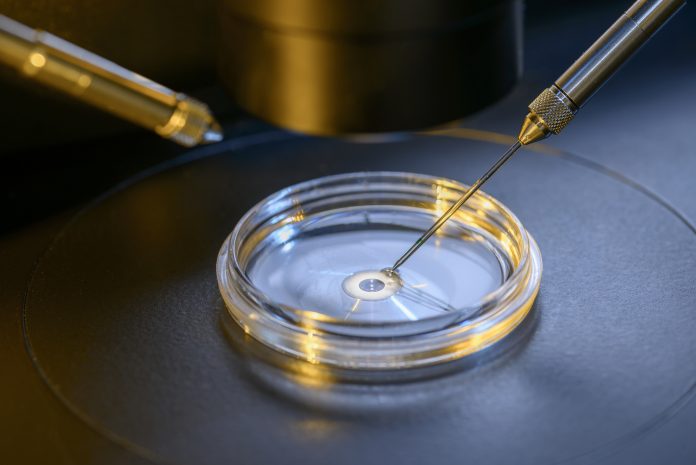 embryology research, IVF